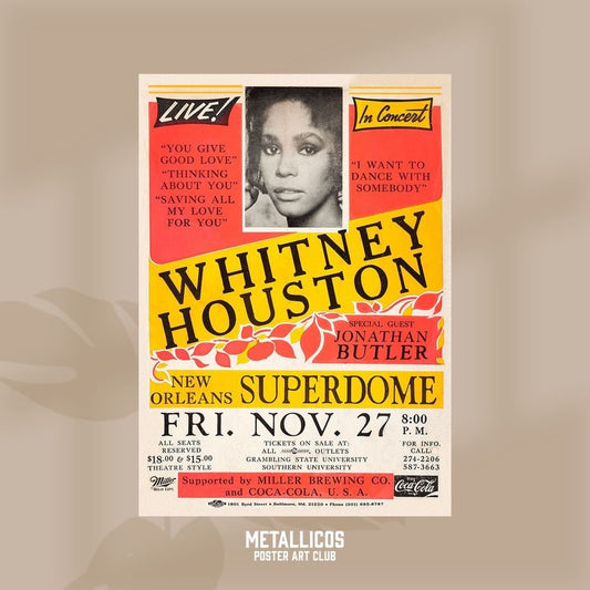 Whitnwy Houson Supedome NOV 27